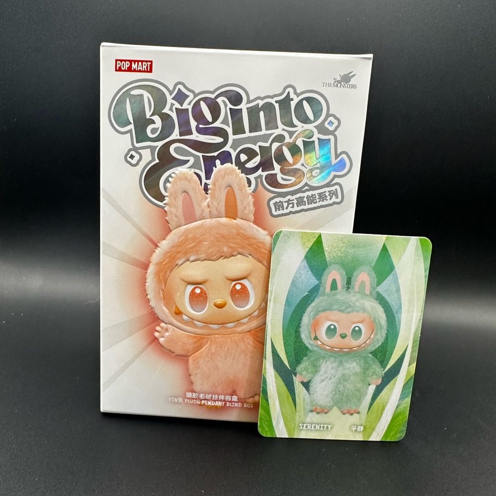 Labubu Big into Energy Vinyl Face Plushie - Serenity